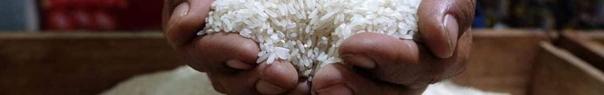Harga Beras Indonesia Termahal di ASEAN, Tapi Petani Kok Miskin?